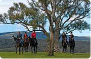 <a href="http://www.unclenevs.com.au/" target="_blank" >Uncle Nev's Horse Riding</a>